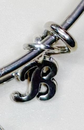 Spuffy (Spike x Buffy) charm bangle