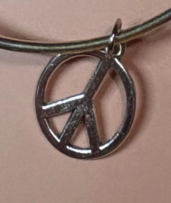 Duster themed silver bangle