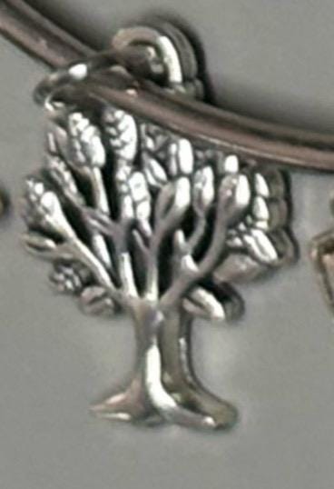 Stydia themed charm bangle